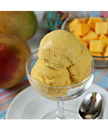 COMPRITAL 1.25 kg of Ice Cream or Sorbet with the taste of the Manche Product Ready for Ice Cream Complete Artisan Product with Ice Cream Handle - Buy Online on GoSupps.com