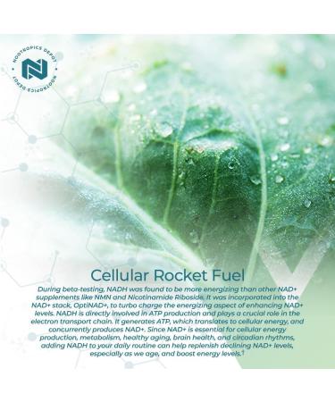 Nootropics Depot NADH + Chlorella vulgaris (Broken Cell) 400mg Capsules | Nicotinamide Adenine Dinucleotide 20mg | Chlorophyll 10mg | Energy Alertness Mental Clarity & Healthy Aging 30 Count 30 Count (Pack of 1) - Buy Online on GoSupps.com