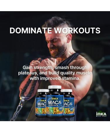 Maca for Men Gelatinized Maca Root Panax Ginseng Root & Greater Nettle Herb Non-GMO Vegan Gluten-Free Soy-Free and Dairy-Free (90 count) - Buy Online on GoSupps.com