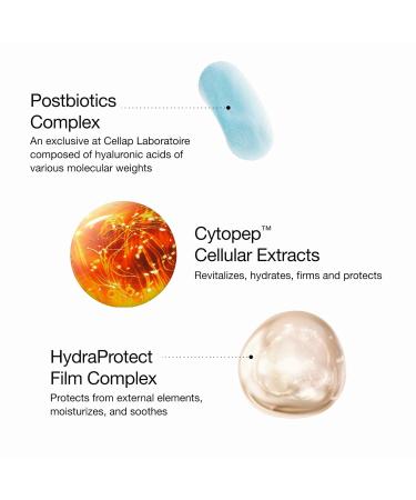 Cellcosmet Concentrated Day Face Cream - Revitalizing Anti-Aging Moisturizer for Glowing Skin (1.7 oz) | International Shipping Available - Buy Online on GoSupps.com