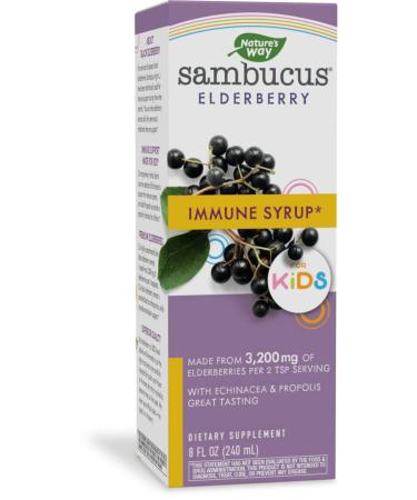 Nature's Way Sambucus for Kids Standardized Elderberry Original Syrup 8 fl oz (240 ml)