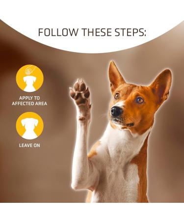 Artero Styptic Powder - Fast-Acting Solution for Pet Grooming | Shop Now - Buy Online on GoSupps.com