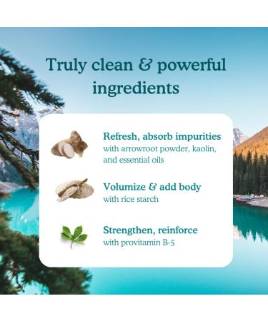 Dry Shampoo Powder Refill | Natural Eco-Friendly & Plastic-Free | Refresh & Volumize | Made in USA | 6x Refill Pack - Buy Online on GoSupps.com