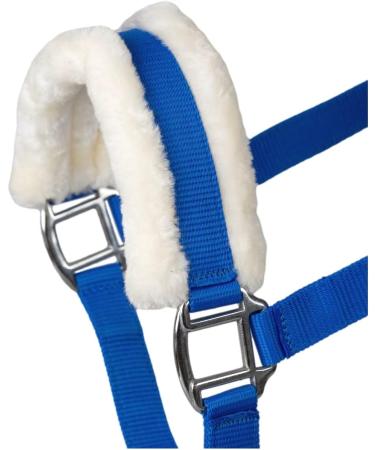 Buy RL24 Halter with Plush Padding | BASICLINE - 6 Colors for Shetland Pony Thoroughbred & Warmblood - Royal Blue - Buy Online on GoSupps.com