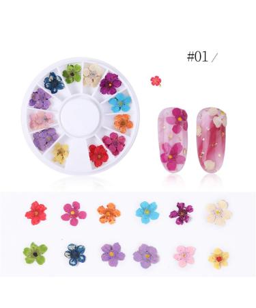 Sunflower Nail Petals Dry Flower Set - Daffodil Star Five Small Nail Art Decorations | A281, One Size - Buy Online on GoSupps.com