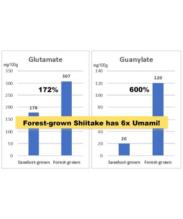 Organic Japanese Shiitake Powder 40g - Forest-Grown Umami Booster for Natural Flavor - Buy Online on GoSupps.com