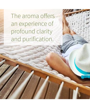 Garden of Life 100% Organic Rosemary Essential Oil - 15ml | Pure, Undiluted, Non-GMO for Diffuser & Aromatherapy - Buy Online on GoSupps.com