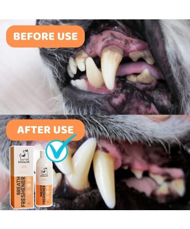Dog Breath Freshener | Stop Bad Dog Breath! Dental Water Additive 237ml | Anti Plaque Anti Tartar Dog Mouthwash | Natural Dog Oral Care 237ml Breath Freshner - Buy Online on GoSupps.com