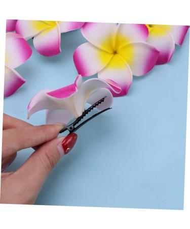 Angoily Hair Accessory for Girls Hair Clips for Girls Barrettes for Girls Hibiscus Flower Hair Clips Summer Hair Clips Accesorios Para Plumeria Hair Clip Hair Accessories The Flowers - Buy Online on GoSupps.com