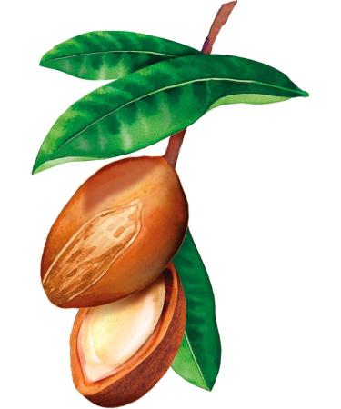 WELEDA - Repair & Care Solid Shampoo - Provides intense care - Protects against split ends and brittle hair - NATRUE - 50g - Buy Online on GoSupps.com