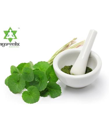 Organic Gotu Kola Powder - Herbal Supplements Boosts Immunity & Sup0ports Digestion | Non-GMO & Gluten-Free - Centella Asiatica - Mandupakarni Powder and Brahmi - 7.05 Oz / 200g 7.05 Ounce (Pack of 1) - Buy Online on GoSupps.com