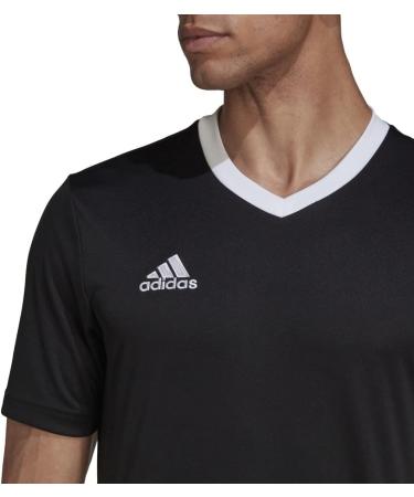 Buy adidas Men's Entrada22 Football T-Shirt L Black - International Shipping Available | Stylish Sportswear for Football Enthusiasts - Buy Online on GoSupps.com