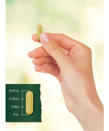 Tahoe Nutritionals Turmeric Curcumin Supplement 1500 mg | 150 Capsules | Complex with Black Pepper | Non-GMO and Gluten Free - Buy Online on GoSupps.com