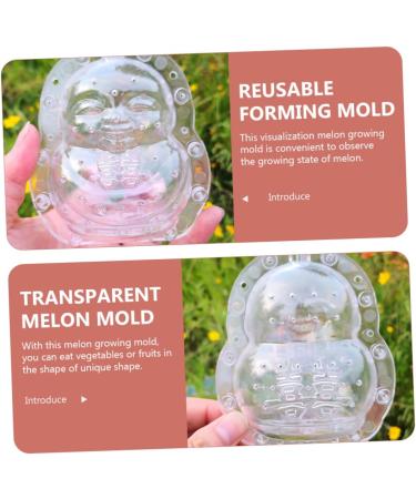 Yardwe 5pcs Fruits Shaping Tool Pumpkin Shaping Mold Plastic Reusable Molds Shaper Mold Melon Stereotypes - Buy Online on GoSupps.com