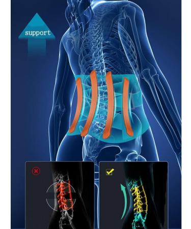 Breathable Lumbar Support Belt - Ergonomic Lower Back Brace for Pain Relief | Best Back Support Strap - Buy Online on GoSupps.com