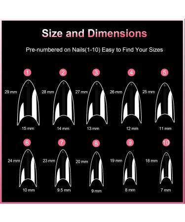 600PCS Clear Short Stiletto Nail Tips - Acrylic False Nail Tips for Salons & DIY Nail Art - 10 Sizes - Buy Online on GoSupps.com