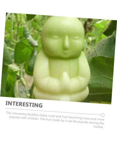 EXCEART 2pcs Vegetable Shaping Mold Vegetables Growing Fruit Mold Adorable Buddha Mold Pumpkin Multifunction Transparent 10x7cm - Buy Online on GoSupps.com