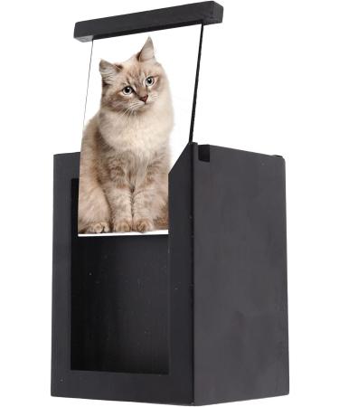 NEW DREAM Pet Cremation Box with Photo Frame | Dog Ashes Urn - Wood Keepsake Memorial Urn for Cats or Dogs (Black) - Buy Online on GoSupps.com