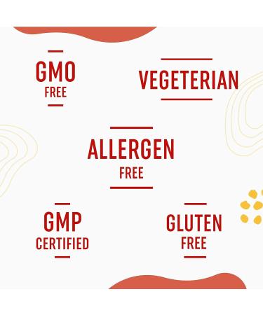 Powerful Liquid Multivitamin with Vitamin B6 & B2 for Immune & Digestive Support | 32 FL oz - Buy Online on GoSupps.com