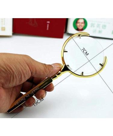 Handheld Magnifying Glass Metallic Material Stainless Steel Hd Magnifying Glass Old Man 20X for Reading Crafts Repair Magnifier Silver Lofty Ambition - Buy Online on GoSupps.com