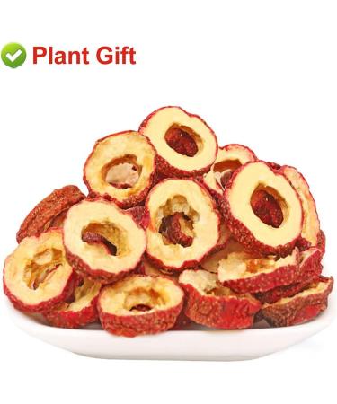 Hawthorn Tea 80g - Appetizing Chinese Health Drink for Weight Loss & Blood Pressure Support - Buy Online on GoSupps.com