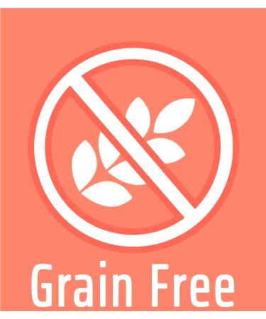 FEELING GOOD for Adult Dogs Salmon AND Chicken Grain Free - Buy Online on GoSupps.com