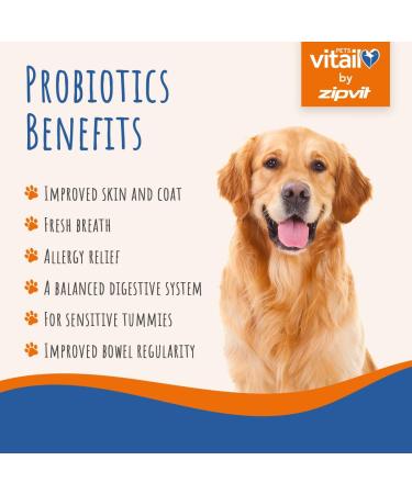 Dog Probiotic Powder for Gut Health Digestive Support Probiotics for Dogs with 525 Million CFU Per Serving Enriched with Prebiotics Probiotics & Postbiotics Dog Digestive Supplements UK Supplier 150g Powder - Buy Online on GoSupps.com