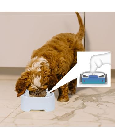 Yzzaoo Anti-Schwapp Dog Water Bowl - 1L No Drooling Perfect for Travel & Home Use - Buy Online on GoSupps.com
