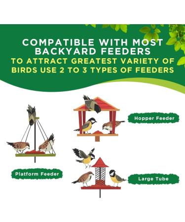 Premium Wild Bird Seed | Willowbrie Bird Seed | Birdseed for Outdoor Feeders | Wild Bird Food | Wild Bird Feed | 5lb Bag - Buy Online on GoSupps.com