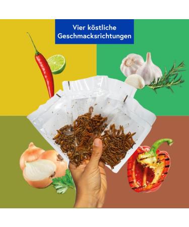 Sensible Insect Snack | Roasted Mealworm Protein & Crunchy Party Mix | Unique Grilling Gift Idea - Buy Online on GoSupps.com