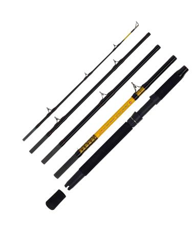 WFT Never Crack Big Cat 5pcs. 200-1000g 2.60m