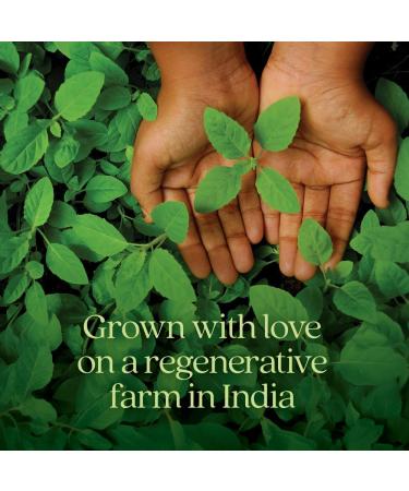 New Chapter Organic Holy Basil Booster Powder - Stress Relief Cognitive Function Memory Immune Support Supplement - Regenerative Organic Certified Tulsi 75 Servings - Buy Online on GoSupps.com