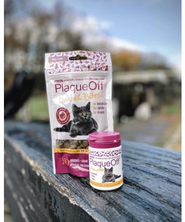 ProDen PlaqueOff Dental Bites Cat 60 g For Cats Bad Breath Plaque Tartar Brown package may vary - Buy Online on GoSupps.com