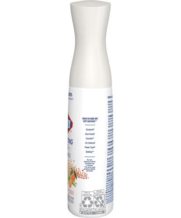 Clorox Disinfecting Mist  Multi-Surface Disinfectant  Lemongrass Mandarin  16 Fluid Ounces - Buy Online on GoSupps.com
