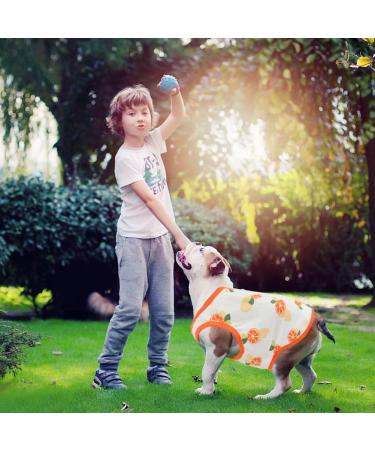 Buy 2 Piece Cotton Dog T-Shirts | Breathable & Lightweight Summer Vests for Small Dogs | Cute Fruit Prints for Chihuahuas & Puppies - Buy Online on GoSupps.com