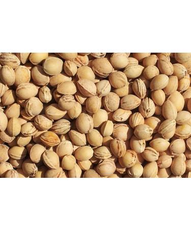 Shop the Best Neck Pillow with Stand-Up Collar | Hearts-Red Cherry Stone Heat Pad for Ultimate Comfort - Buy Online on GoSupps.com