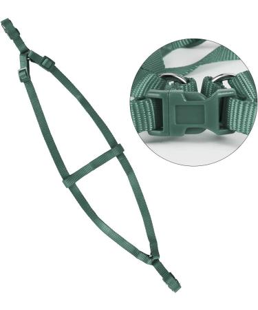 Felenny Adjustable Bird Dishes & Leash - Essential Outdoor Accessories for Scarlet Red Ara Sun Conure & Nymphensittich - Anti-Bite Large Size - Buy Online on GoSupps.com