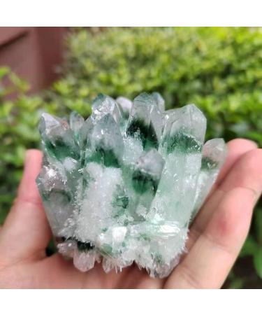 Natural Crystal Rough 1pc Natural Green Phantom Quartz Crystal Cluster Stone Ornaments 300G-900G for (Color : 1pc810g-900g Size : 1PC) 1PC 1pc810g-900g - Buy Online on GoSupps.com