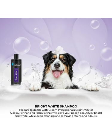 GROOM PROFESSIONAL Bright White Dog Shampoo - 4L - Deep Cleansing & Whitening Formula - Buy Online on GoSupps.com