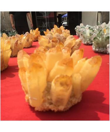 400-800g Natural Yellow Ghost Phantom Quartz Crystal Cluster Specimen Home Decoration Office Living Room Crystal Decora kaixun (Size : 600-700g) - Buy Online on GoSupps.com