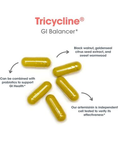 Allergy Research Group Tricycline - GI Balancers Gut Health Berberine Sulfate Artemisinin Citrus Seed Extract Black Walnut Hulls Gluten Free Vegetarian Capsules - 90 Count - Buy Online on GoSupps.com