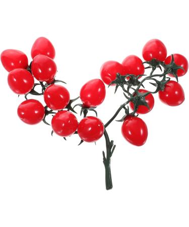 Alipis 2pcs String Simulated Cherry Tomatoes Cherry Tomatoes Decor Realistic Cherry Tomato Model Decor Kid Toy Foam Food Fruit Prop Pvc Red Household Products Child Fake Vegetables Redx2pcs 18X16CMx2pcs - Buy Online on GoSupps.com