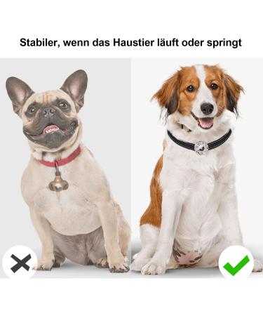 Linteker Protective Cover for Apple Airtag - Durable GPS Finder Case for Dog & Cat Collars - Transparent Flower Design - Buy Online on GoSupps.com