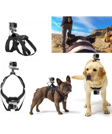 DKE&YMQ SHANSHUIART Gopro Dog Harness Mount Soft and Adjustable Dog Harness Gopro for Large Medium and Small Dogs Can Be Used for Chest and Back Fixation Suitable for All Models of Gopro Hero - Buy Online on GoSupps.com