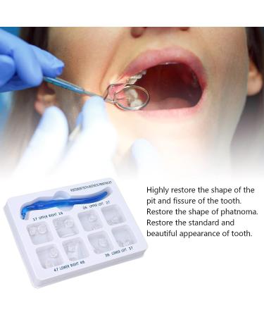 Posterior Teeth Aesthetic Printing Kit - 16 Molds - Dental Oral Care Orthodontic Filling Tool - Buy Online on GoSupps.com