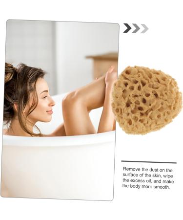 Beavorty Exfoliating Bath Shower Sponge | Honeycomb Body Scrubber for Radiant Skin - International Shipping Available - Buy Online on GoSupps.com