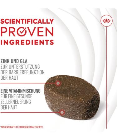 Royal Canin Skin Coat Chews | Double Pack | 2 x 240 g | Snacks for Adults Dogs of All Sizes & Breeds | In Resealable Bag | Developing with Veterinarians | With Poultry Protein - Buy Online on GoSupps.com