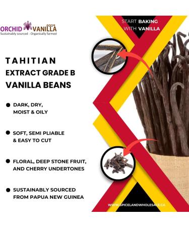 Tahitian Extract Grade-B Vanilla Beans For Extract Making By Count (100 Beans (Pack of 1)) - Buy Online on GoSupps.com