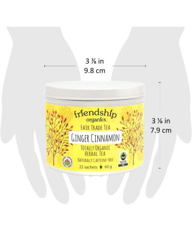 Friendship Organics Ginger Cinnamon Tea Bags Organic and Herbal Fair Trade 22 Count - Buy Online on GoSupps.com