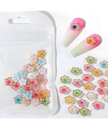 Dornail 30PCS Acrylic Flower Nail Charms - Colorful 3D Gold Edge Flower Resin Charms for Women & Girls - Nail Art Decorations - Buy Online on GoSupps.com